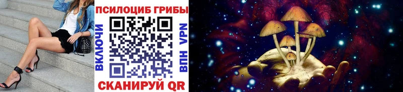 Галлюциногенные грибы Psilocybe  хочу наркоту  Орёл 